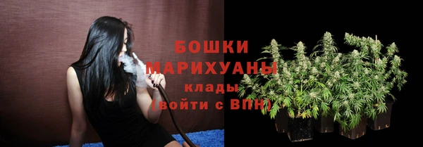 индика Абдулино
