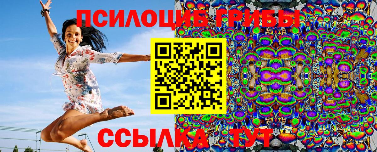 Галлюциногенные грибы Psilocybe  Вход с VPN  Камень-на-Оби 